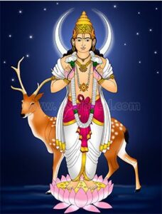 शिक्षा सेवा